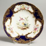 A 19TH CENTURY COALPORT PLATE decorated in the manner of Sevres, painted by Wm. Cook with