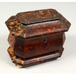 A GOOD REGENCY TORTOISESHELL TWO DIVISION TEA CADDY with crossbanded domed top. 6.5ins high.