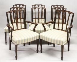 A GOOD SET OF EIGHT HEPPLEWHITE MAHOGANY DINING CHAIRS, two with arms, all with curving cresting