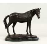 A BRONZE STANDING HORSE on a shaped marble base 8ins high.