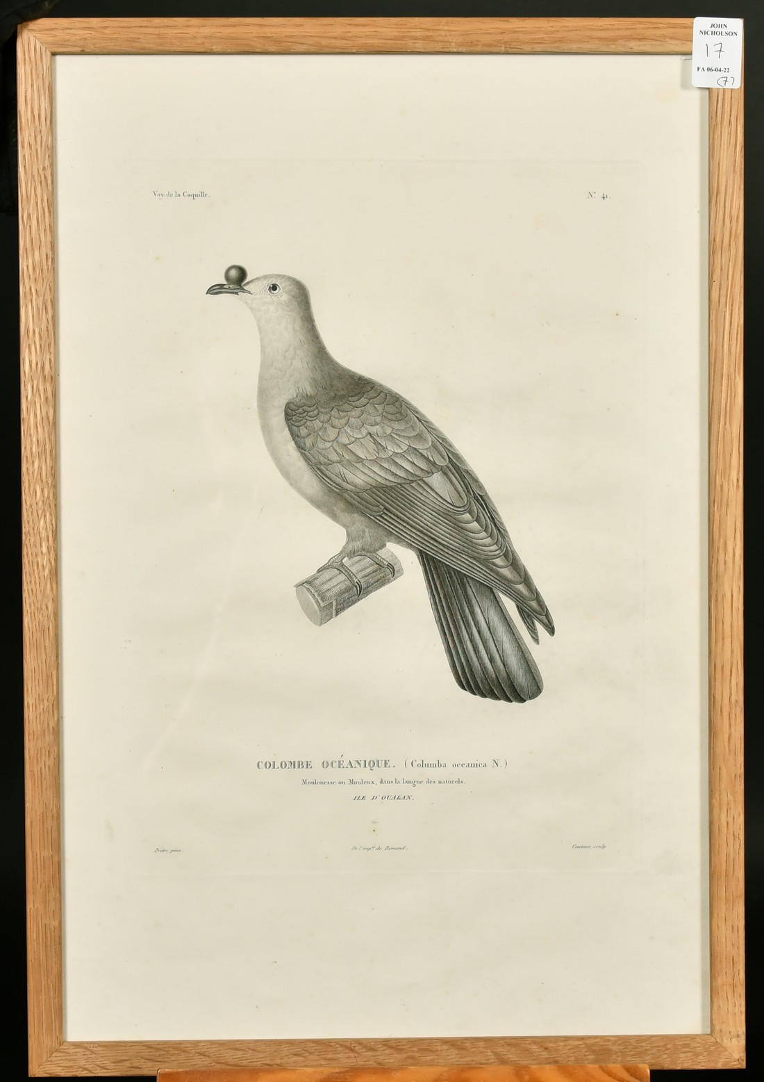 Coutant after Pretre, a group of seven ornithological plates from the voyage de la Coquille, each - Image 5 of 8