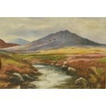 Early 20th Century, a scene of an angler on a moorland river, oil on board, 8" x 11", unframed.