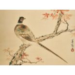 Chinese School, Study of a Pheasant, watercolour on silk, signed and with seal, 13.75" x 19.75"and