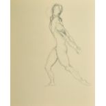 Circle of Nina Hamnett, A collection of sketches in pencil or ink of male nude body builders,