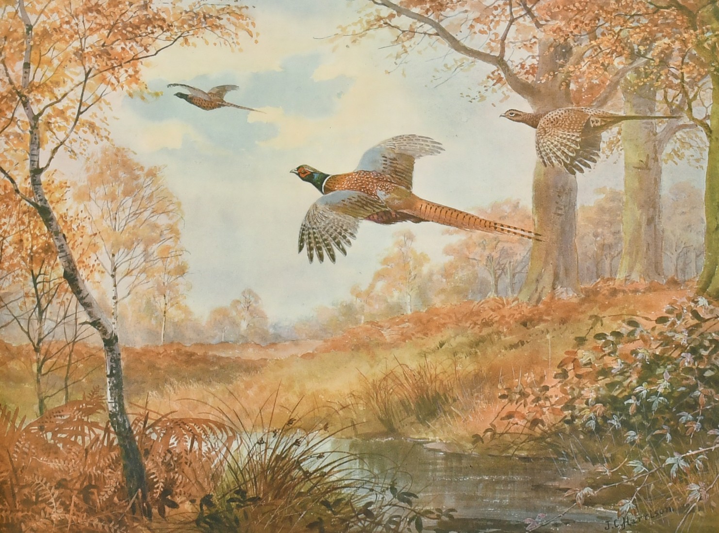 A group of three prints by J.C. Harrison, 'Autumn Glory, Pheasants', and ' A good drive, Grouse',