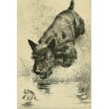 Morgan Dennis, 'Scram', a Scottish terrier by the edge of a pond with a frog, etching, inscribed and