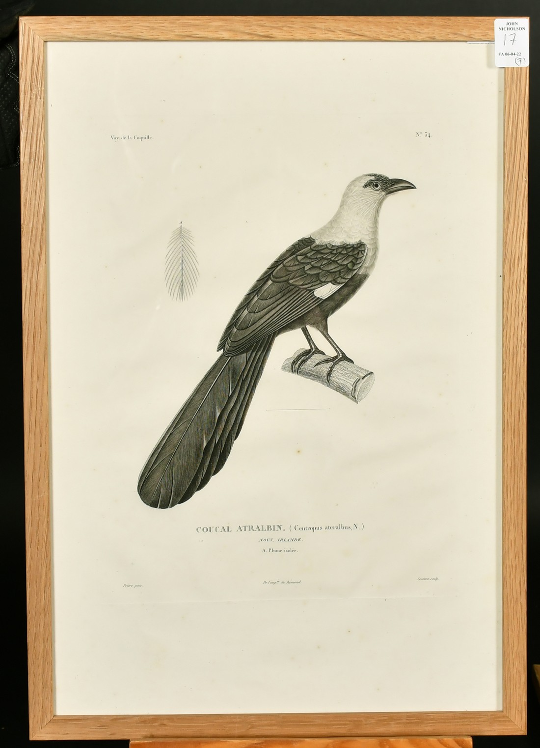 Coutant after Pretre, a group of seven ornithological plates from the voyage de la Coquille, each - Image 3 of 8