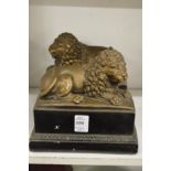 A pair of lion bookends.