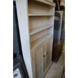 A painted cupboard / bookshelf.