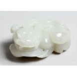 A CHINESE WHITE JADE FO DOG, 2.25ins long.