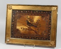 A RARE NAPOLEONIC STRAW WORK PICTURE, a bird on a branch with fruiting vine border, 10ins x 13.5ins,