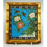 A GOOD CHINESE BLUE GROUND CLOISONNE PLAQUE, decorated with birds and native flora, encased in a