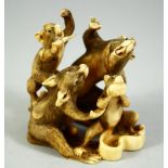 A JAPANESE CARVED IVORY OKIMONO, depicting a group of rats, 6.5cm wide.