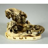 A SMALL JAPANESE CARVED IVORY OKIMONO, depicting monkeys upon a mound with a snake, 6.5cm wide.