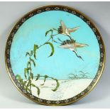 A JAPANESE CLOISONNE BLUE GROUND CIRCULAR DISH, decorated with cranes in flight, 30cm diameter.
