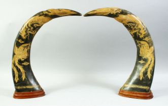 A PAIR OF CHINESE CARVED BULL HORNS mounted to wooden bases, each carved with a dragon and phoenix /