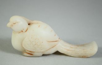 A CARVED SOAPSTONE MODEL OF A BIRD, 11cm long.