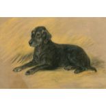 Lucy Dawson (20th Century) A portrait of 'Roy', a black lab, pastel, signed, inscribed and dated