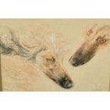 Neil Forster, Studies of an Afghan hound, pastel and gouache, signed and inscribed, 'Hector 72', 10"