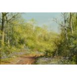 Caesar (20th Century), a scene if bluebells on a woodland path, oil on board, 5" x 7".