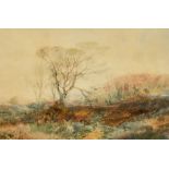 Edmund Morison Wimperis (1835-1900) British, Trees in a landscape, watercolour, monogrammed, 10.