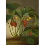 S.R. Francis (19th Century) A strawberry plant, pastel, signed, 10.75" x 7.5".