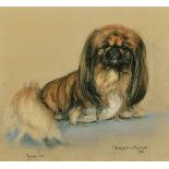 Marjorie Cox (1915-2003) British, 'Munch-Munch', a study of Pekingese dog, pastel, signed and