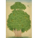 A collection of Indian and Persian miniature paintings, watercolours in six frames (6).