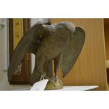 A cast bronze model of an eagle.