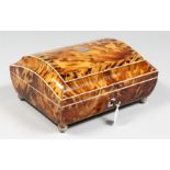 A SUPERB REGENCY TORTOISESHELL SARCOPHAGUS SHAPED WORK BOX, CIRCA. 1820, with domed top, veneered in