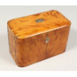 A GOOD REGENCY BLONDE TORTOISESHELL TWO DIVISION TEA CADDY. 6.5ins long.