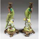 A GOOD PAIR OF CONTINENTAL PORCELAIN AND GILT METAL PARROT CANDLESTICKS. 14ins high.