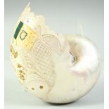 A DECORATED AND PIERCED NAUTILUS SHELL, 16cm long.