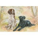 Gillian Harris, (Late 20th Century) A Springer Spaniel and Labrador seated in a landscape,