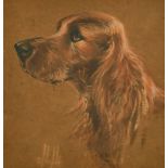 Olive Cliffe (fl. 1920s to 1940's) Head study of a Red Setter, body colour, signed, 5" x 5".