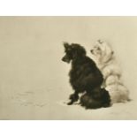 Maud Earl (1864-1943) British, Two Poodles seated, a photogravure, signed in pencil, 11.25" x 13.