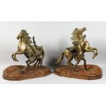 A VERY GOOD PAIR OF LARGE BRONZE MARLEY HORSES AND ATTENDANTS on carved oak bases. 15ins high, 16ins