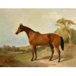 19TH CENTURY. A horse standing in a rural landscape, oil on canvas, 22" x 28".