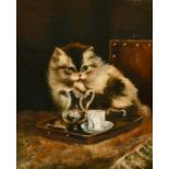 19TH CENTURY ENGLISH SCHOOL. A kitten licking his paw, by a cream jug. Oil on canvas, 12" x 10".