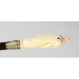 A CARVED BONE HANDLE WALKING STICK "DOLPHIN". 36ins long.