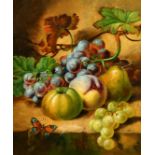 19TH CENTURY. Still life of mixed fruit with a butterfly, oil on canvas, 12" x 10".