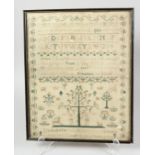 A 19TH CENTURY FRAMED AND GLAZED SAMPLER, ELIZ. TAYLOR, AGED 12. 17ins x 13ins