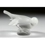 A FROSTED GLASS LALIQUE DOVE. 4.5ins.