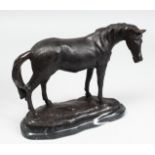 A BRONZE STANDING HORSE on a marble base. 10ins long.