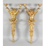 A GOD PAIR OF GILT BRONZE CHERUB SCONCES. 28ins long.