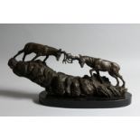 A PAIR OF BRONZE RUTTING STAGS on a rocky base. 19ins long on a marble plinth.