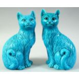 A PAIR OF CHINESE TURQUOISE GLAZE PORCELAIN CAT FIGURES, 20.5cm high.