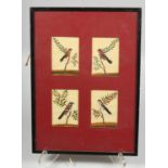 A SET OF FOUR FRAMED INDIAN COMPANY SCHOOL PAINTINGS OF BIRDS ON MICA, framed and glazed together,