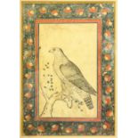 AN INDIAN MINIATURE PICTURE of an eagle, framed and glazed. Image 29cm x 20cm