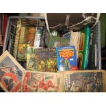 [ROBIN HOOD] misc. collection of comics, novels, monographs, etc. (1 box).